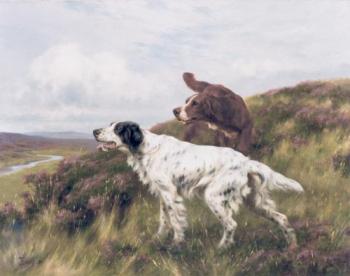 托馬斯 佈林尅斯 An English and Irish Setter on a Moor